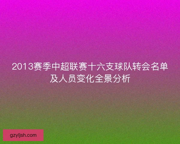 2013赛季中超联赛十六支球队转会名单及人员变化全景分析